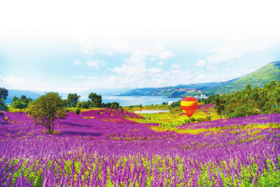 微信截圖_20210916113357