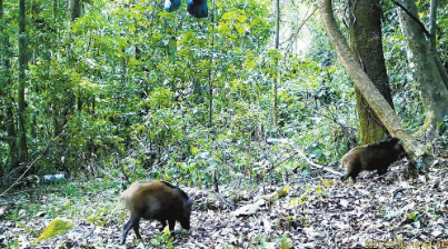 微信截圖_20210917092327 微信截圖_20210917092327