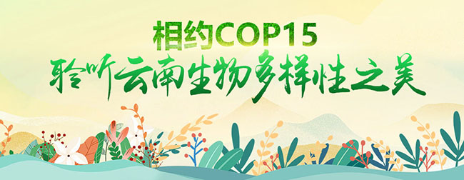 圖一 音頻欄目宣傳圖