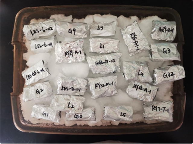 神舟十二號(hào)載人飛船攜云南“航天菌種”回歸