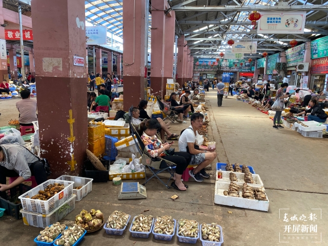 野生菌（春城晚報-開屏新聞記者 孫琴霞 攝）