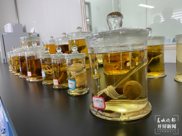 野生菌（春城晚報-開屏新聞記者 孫琴霞 攝）