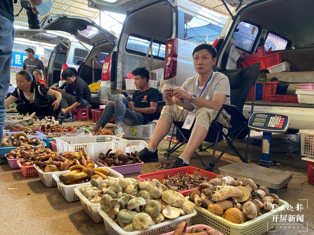 野生菌（春城晚報-開屏新聞記者 孫琴霞 攝）