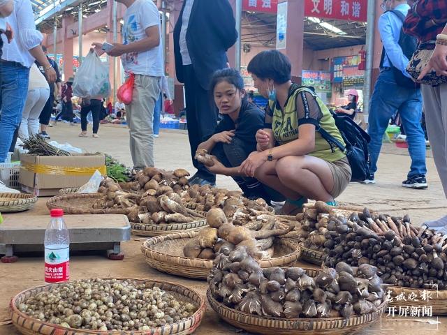 野生菌（春城晚報-開屏新聞記者 孫琴霞 攝）