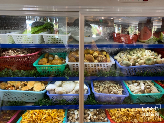 野生菌（春城晚報-開屏新聞記者 孫琴霞 攝）