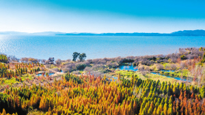 93881632329901093 93881632329901093