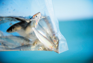 56781632329901108 56781632329901108