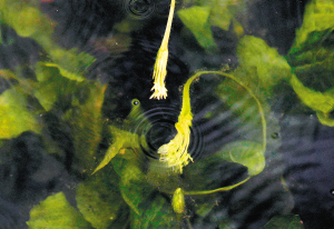 92611632329901139 92611632329901139