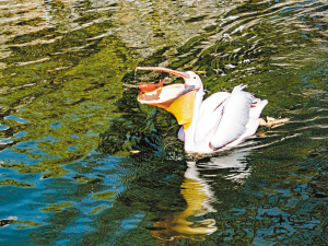 34191632329902279 34191632329902279