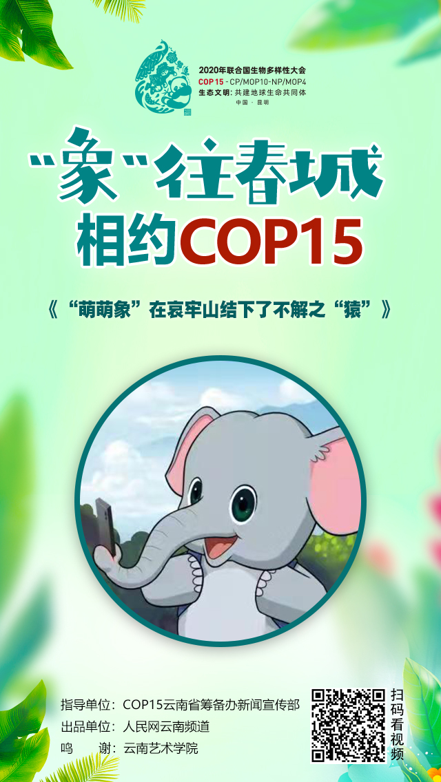 LOCAL202109231014099937883154852 LOCAL202109231014099937883154852