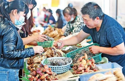 00304187605_c3696ff2 00304187605_c3696ff2