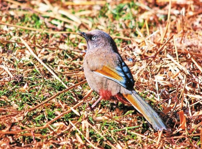 e3452a55-517d-45fc-9b51-f22f5ea179f2 e3452a55-517d-45fc-9b51-f22f5ea179f2