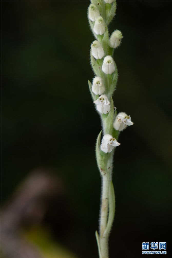 1310209788_16326170265691n