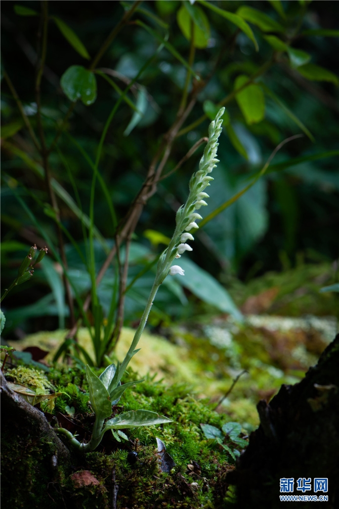 1310209788_16326170267501n