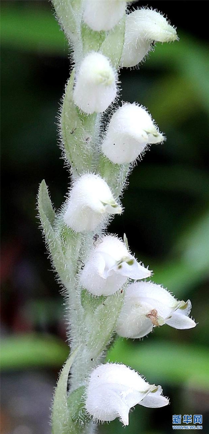 1310209788_16326170274921n