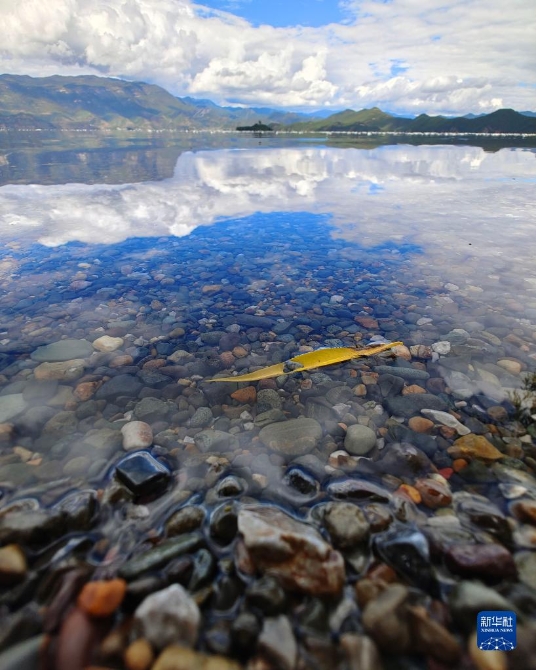 1310209046_16325627017331n 1310209046_16325627017331n