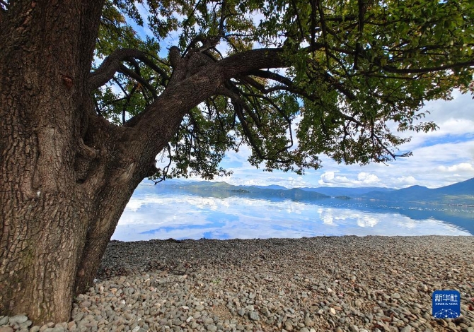 1310209046_16325627017651n 1310209046_16325627017651n