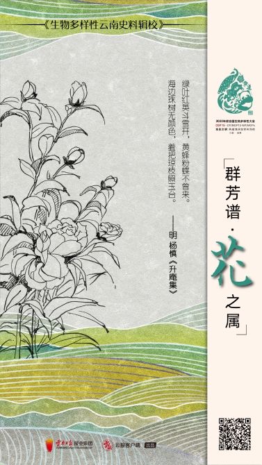 微信圖片_20210926094814.jpg 微信圖片_20210926094814.jpg