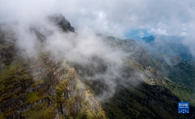 1310209803_16326165353711n