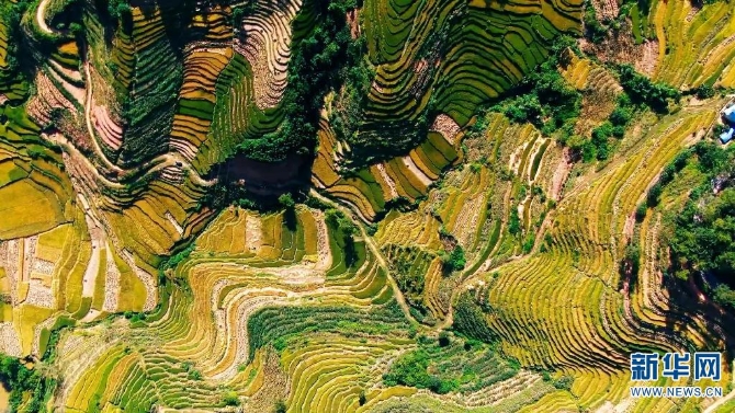 1310209024_16326170258101n