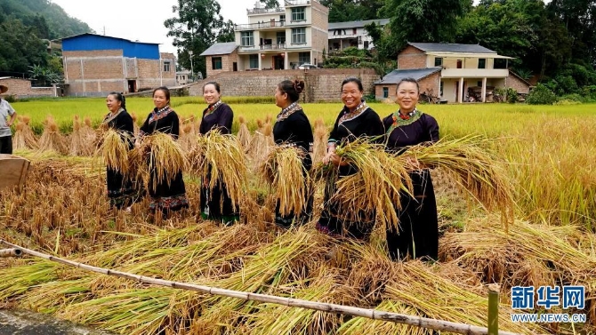 1310209024_16326170258771n