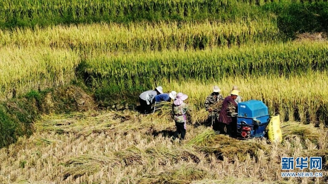 1310209024_16326170259411n