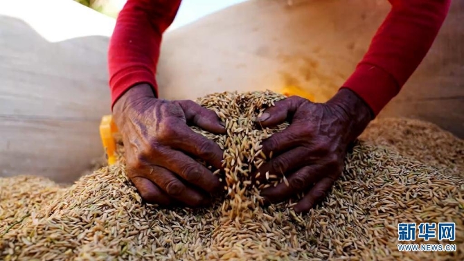 1310209024_16326170260621n