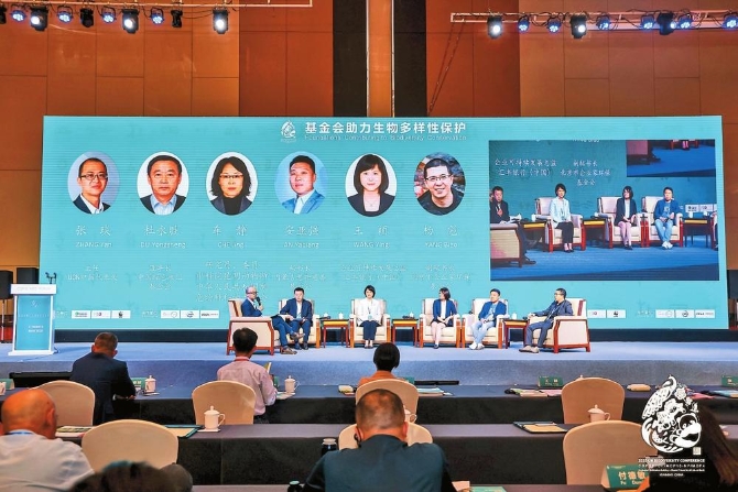 fa41d86d-d867-4464-bf8c-d4bde0fe257d.jpg fa41d86d-d867-4464-bf8c-d4bde0fe257d.jpg