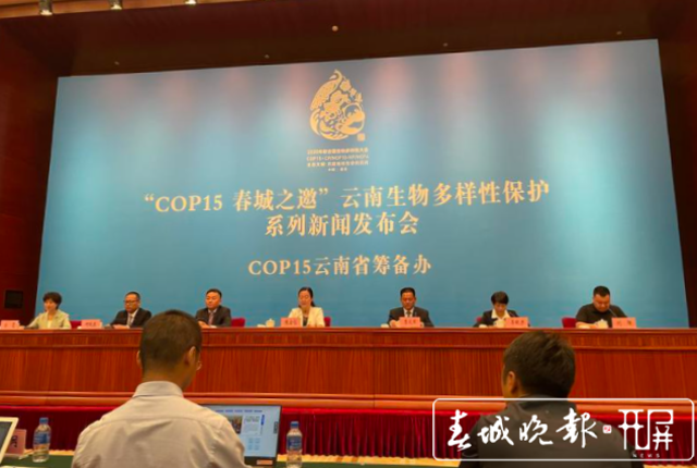 “COP15 春城之邀”云南生物多樣性保護系列新聞發(fā)布會(張?zhí)镱?攝)
