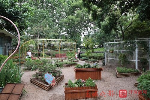 西華公園上萬(wàn)平米大草坪開(kāi)放 3.jpeg