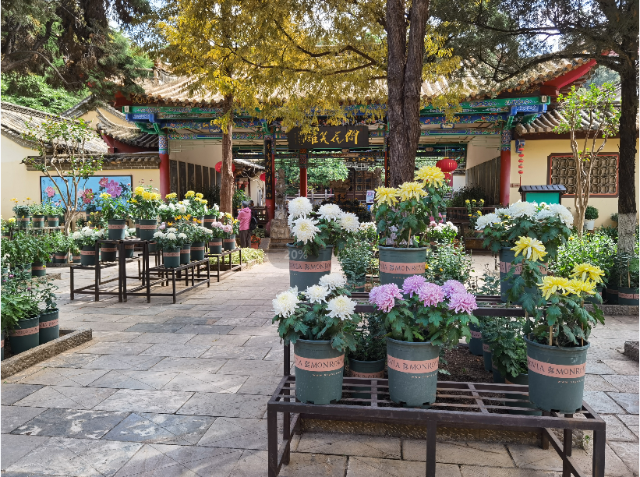 曇華寺公園 供圖
