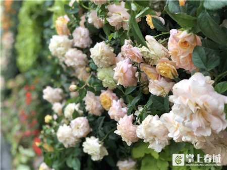 微信圖片_20211001184255