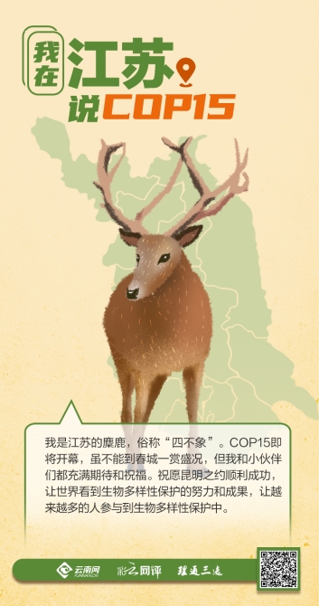 00304205614_bb0e9a18 00304205614_bb0e9a18