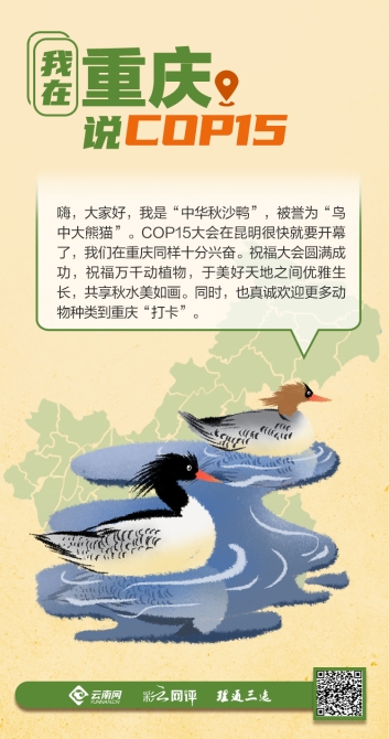 00304208700_1efe96d9