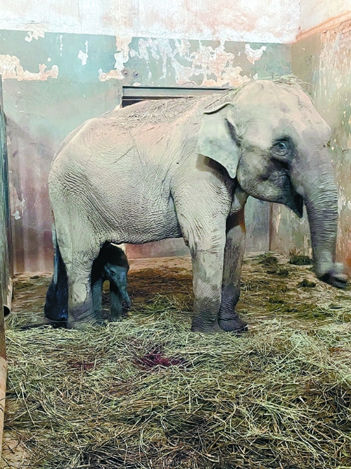 210930144001 (2) 210930144001 (2)