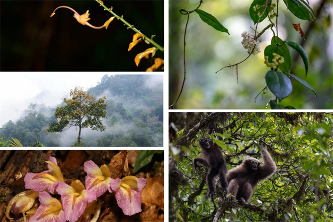 00304213017_736e4ce9 00304213017_736e4ce9