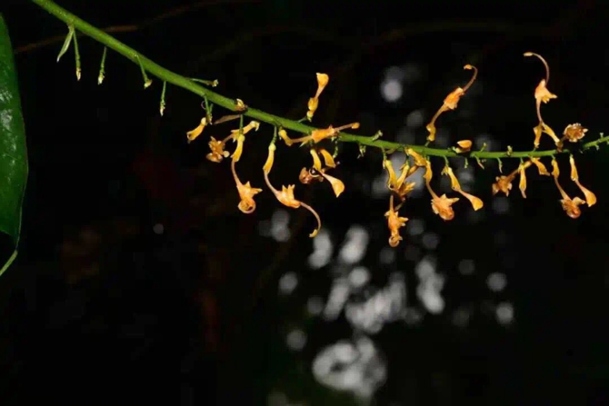 00304213019_e2235cca 00304213019_e2235cca