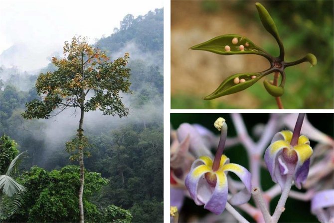 00304213022_ac68169c 00304213022_ac68169c