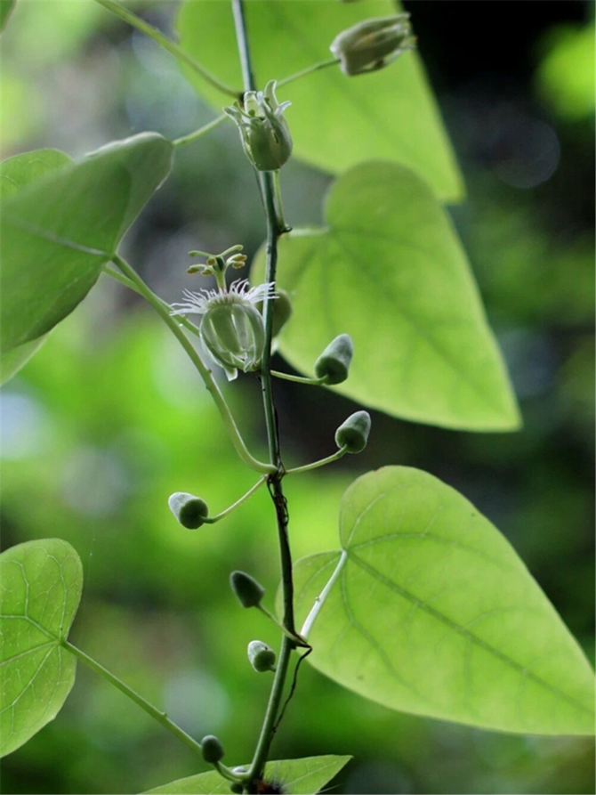 00304213023_382cbaef 00304213023_382cbaef