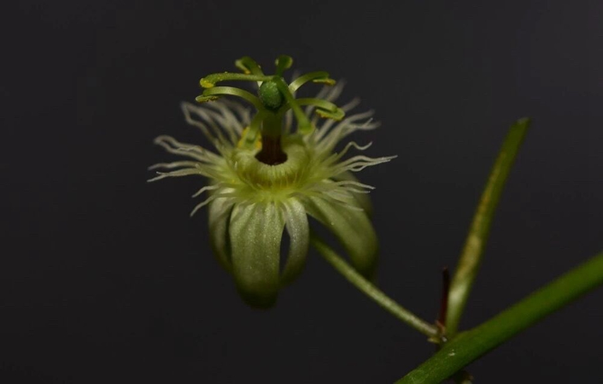 00304213024_f78c6f82 00304213024_f78c6f82