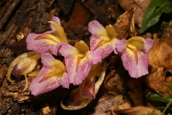 00304213025_457f4e1c 00304213025_457f4e1c