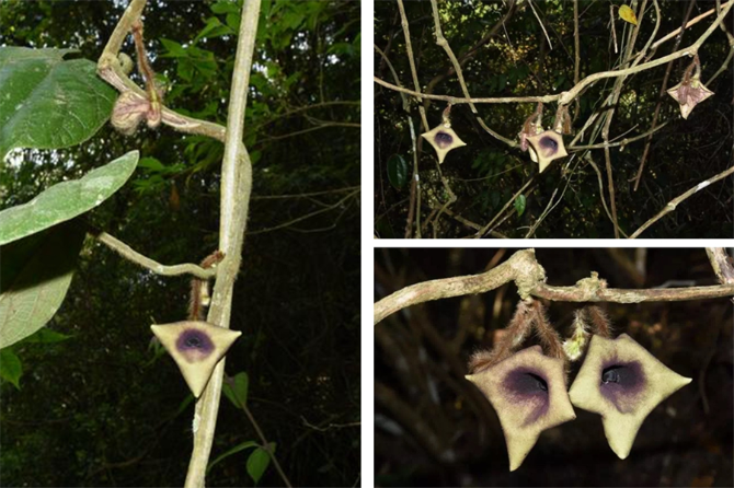 00304213026_abf06cef 00304213026_abf06cef