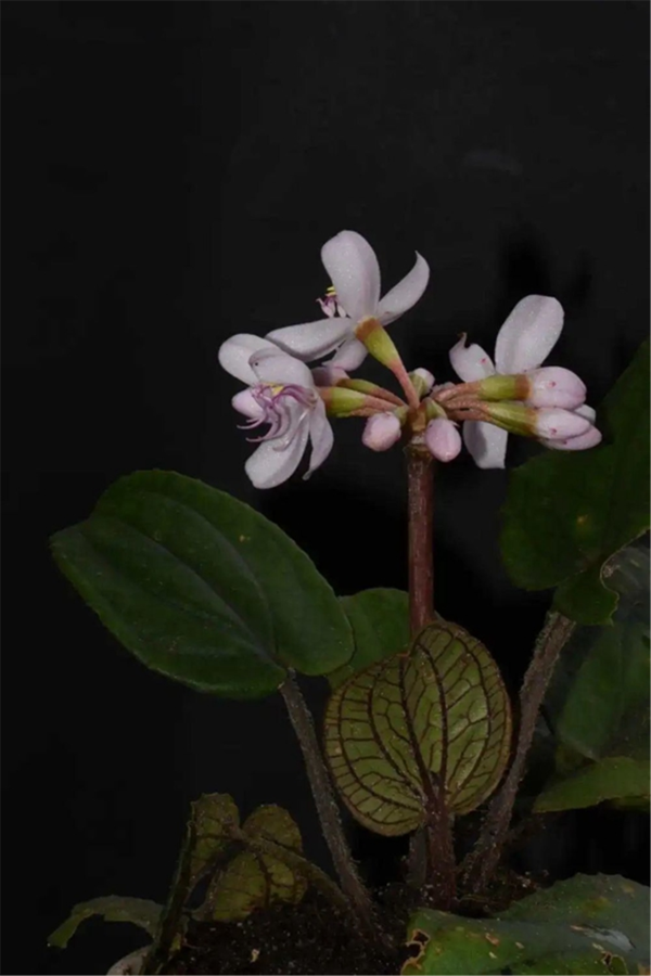 00304213027_0f5a6c33 00304213027_0f5a6c33