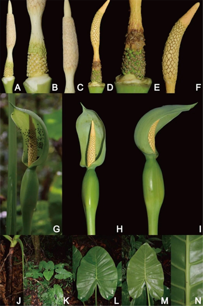 00304213028_1072eace 00304213028_1072eace