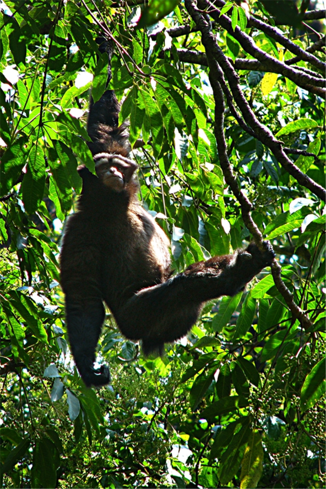 00304213029_6a3517f2 00304213029_6a3517f2