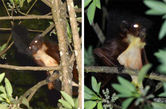 00304213031_c29e1d87 00304213031_c29e1d87