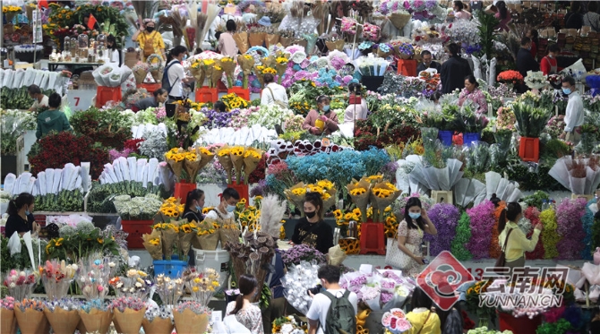 00304213543_0c232437 00304213543_0c232437