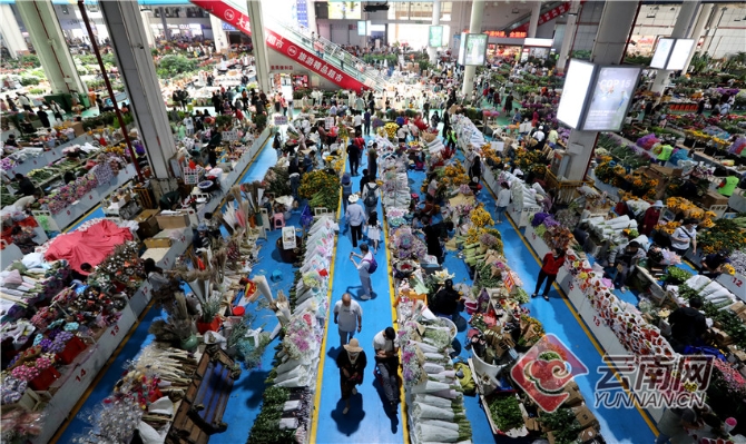 00304213544_8411e4d2 00304213544_8411e4d2