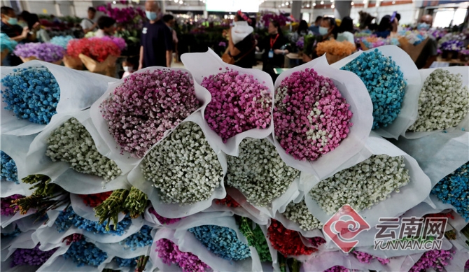 00304213550_7638c4f8 00304213550_7638c4f8