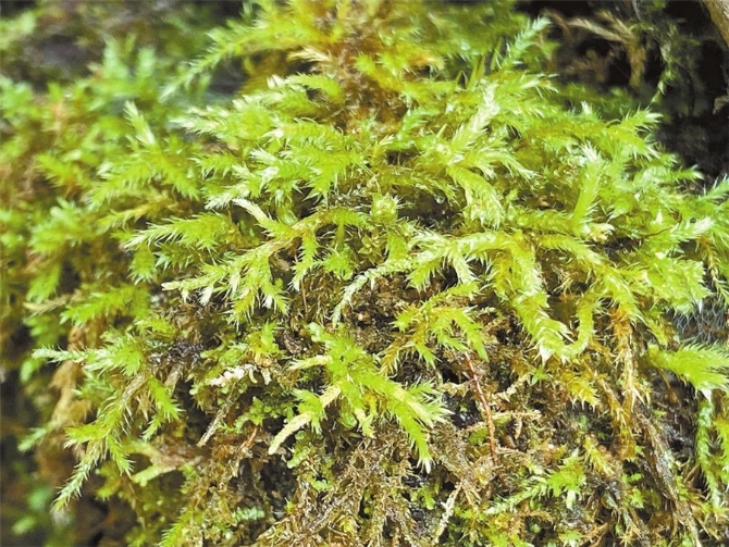 00304213570_034ded5c 00304213570_034ded5c